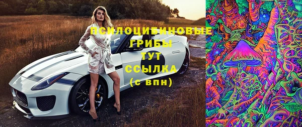 спайс Алексин
